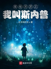 �����ִ�֮�ҽ�˹����С˵