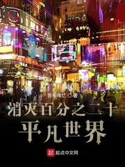 ����ٷ�֮��ʮƽ������С˵