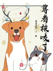 ���߱�ҧ��С˵