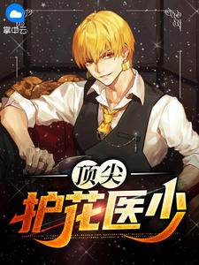 ���⻤��ҽ��С˵