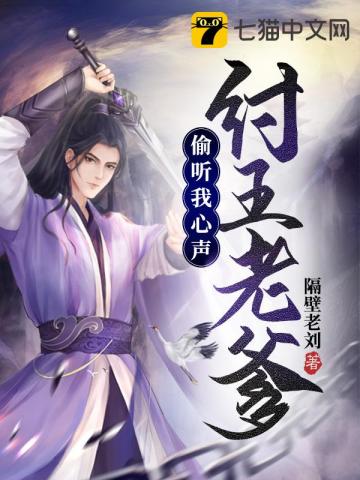 �����ϵ�͵��������С˵