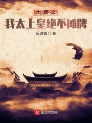 ����֮��̫�ϻʾ���̯��С˵