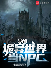 ���ڹ������統NPCС˵