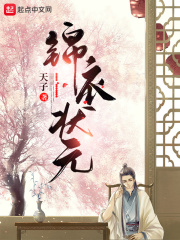 ����״ԪС˵