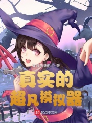 ��ʵ�ĳ���ģ����С˵