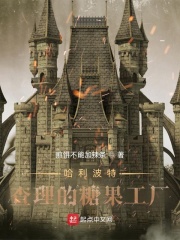 �������أ��������ǹ�����С˵