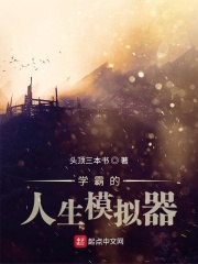 ѧ�Ե�����ģ����С˵