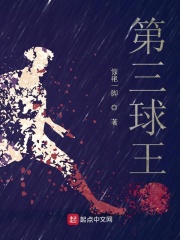 ��������С˵