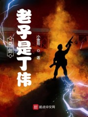 �����������Ƕ�ΰС˵