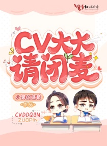 CV��������С˵