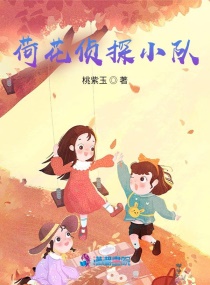 �ɻ���̽С��С˵