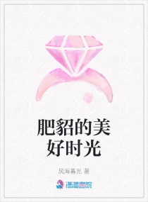 ����������ʱ��С˵