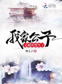 �Ҽҹ����ֻ���������С˵