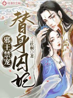 а��������������С˵