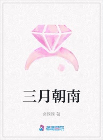 ���³���С˵