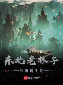 ���������ӵ�ֱ������С˵