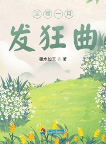 �Ҹ�һ�·�����С˵