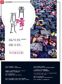 ��שʯ��С˵