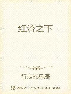 ��������С˵