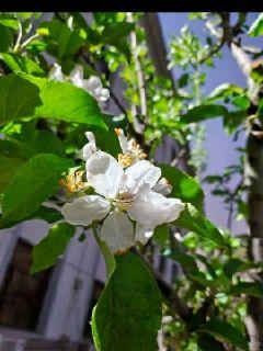 Ԥ�������Ķ�txt����