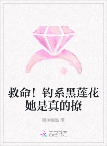 ��������ϵ���¹����������С˵