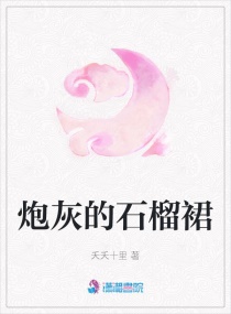 �ڻҵ�ʯ��ȹС˵