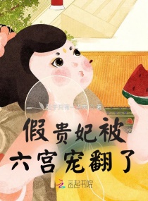 �ٹ����������跭��С˵