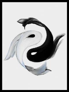 ˫�Ǽ�֮�޾�װ�������Ķ�txt����