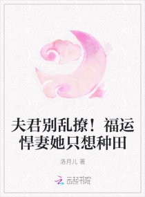 ��������ã����˺�����ֻ������С˵