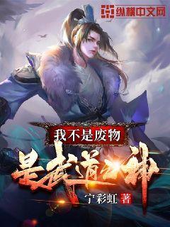 �Ҳ��Ƿ�������֮��С˵