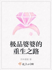 ��Ʒ���ŵ�����֮·С˵