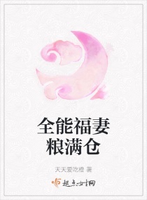 ȫ�ܸ���������С˵