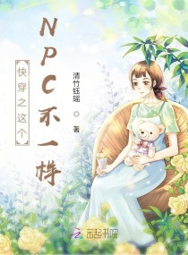 �촩֮���NPC��һ��С˵