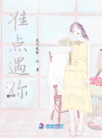 ׼������С˵