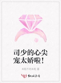 ˾�ٵ��ļ��̫������С˵