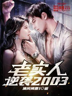 ��ʵ����Ϯ2003С˵