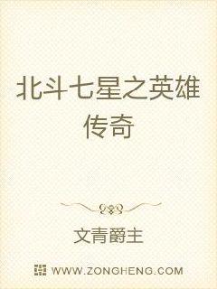 ��������֮Ӣ�۴���С˵