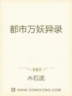 ����������¼С˵