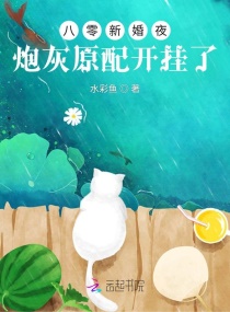 �����»�ҹ���ڻ�ԭ�俪����С˵