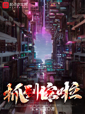 ץ������С˵