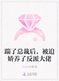 �����ܲú󣬱��Ƚ����˷��ɴ���С˵