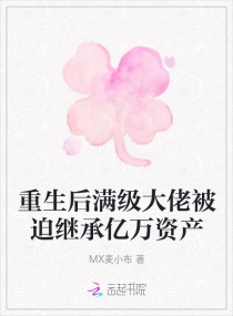 �������������б��ȼ̳������ʲ�С˵