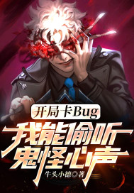 ���ֿ�Bug��͵����������С˵