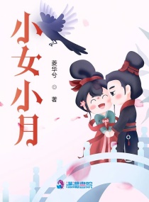 ����������С˵