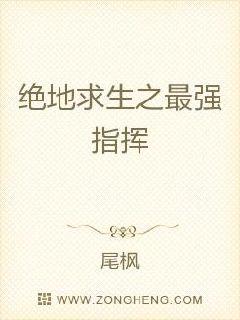 ��������֮��ǿָ��С˵