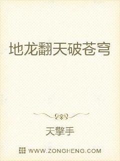 ���������Ʋ��С˵