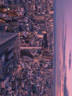 ƣ�������С˵