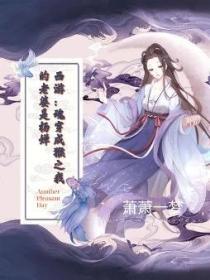 ���Σ��괩�ɺ�֮�ҵ����������С˵