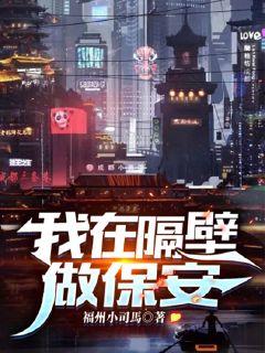 ���ڸ���������С˵