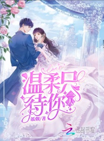 ����ֻ����һ��С˵